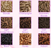 Dancer's Wiglet - Ditto Dancewear