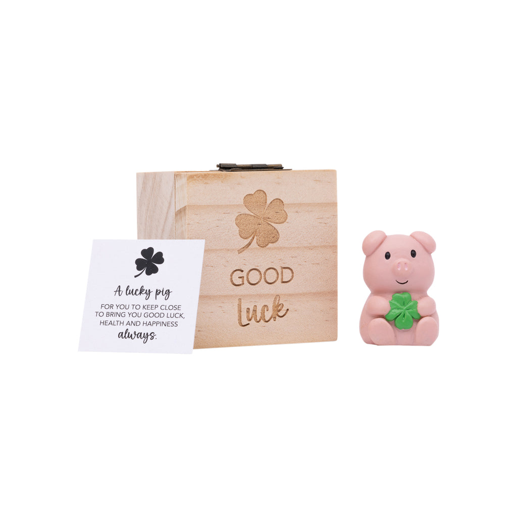 Good Luck Pig SPLOSH